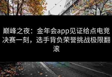 巅峰之夜：金年会app见证给点电竞决赛一刻，选手背负荣誉挑战极限翻滚