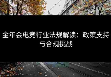 金年会电竞行业法规解读：政策支持与合规挑战